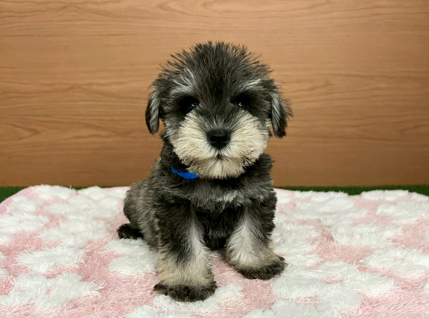 赤ちゃん写真3-1