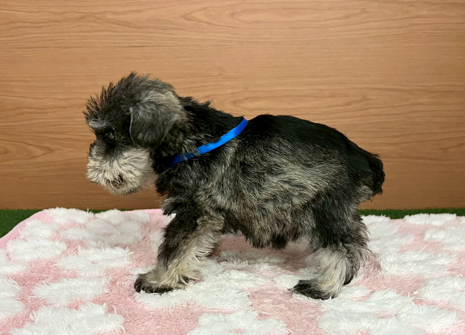 赤ちゃん写真3-2