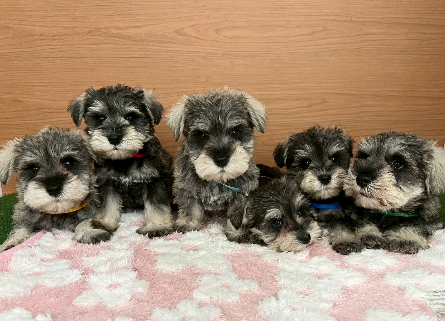 赤ちゃん写真3-3