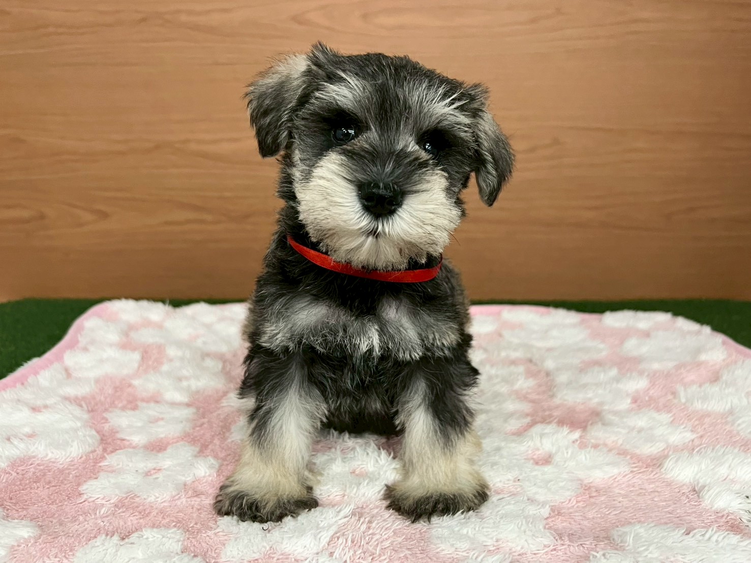 赤ちゃん写真3-1