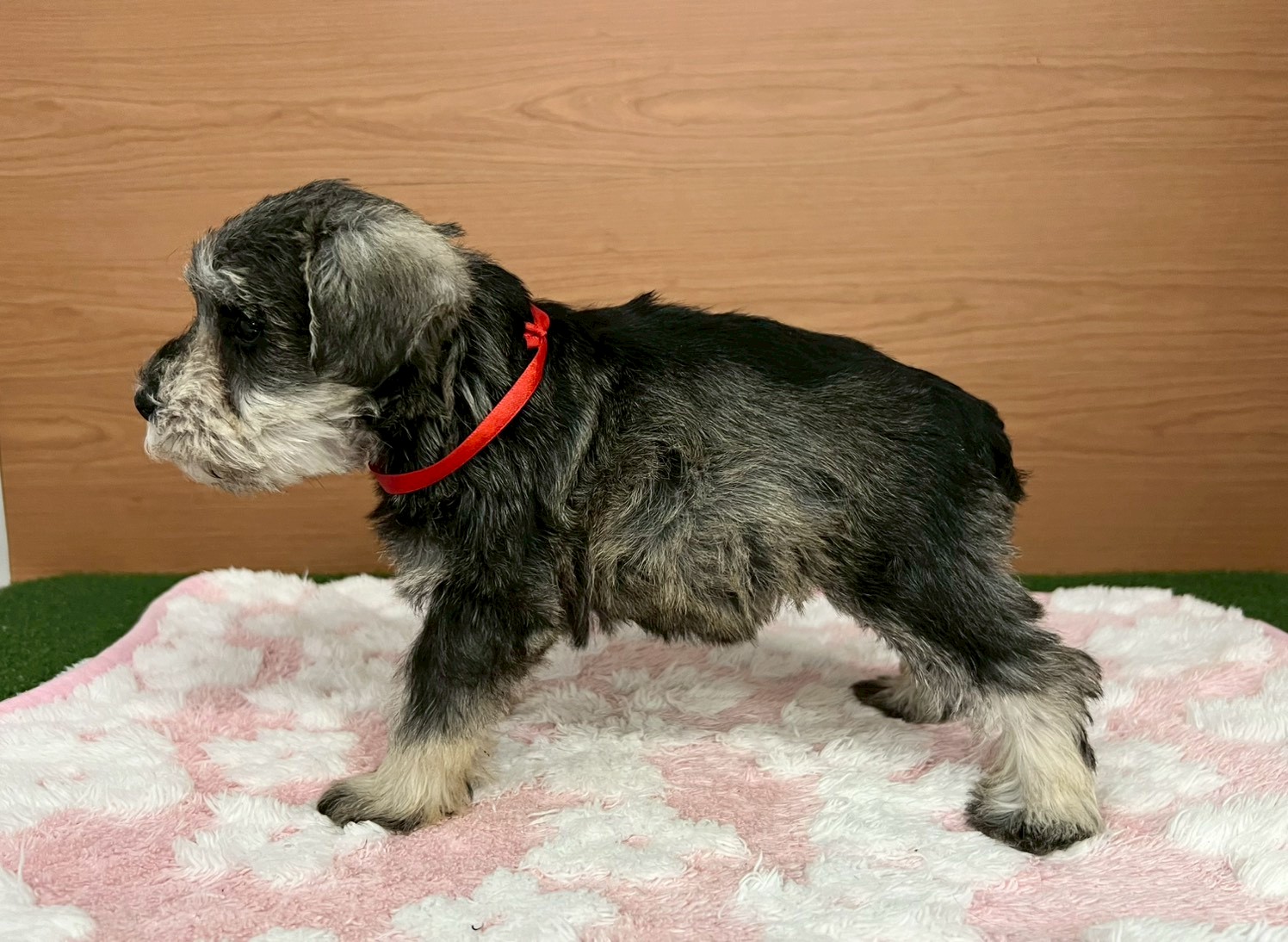 赤ちゃん写真3-2