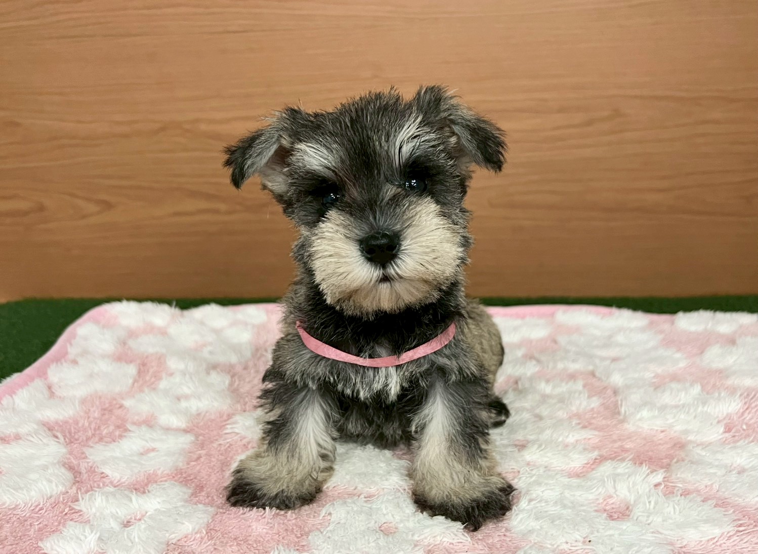 赤ちゃん写真3-1