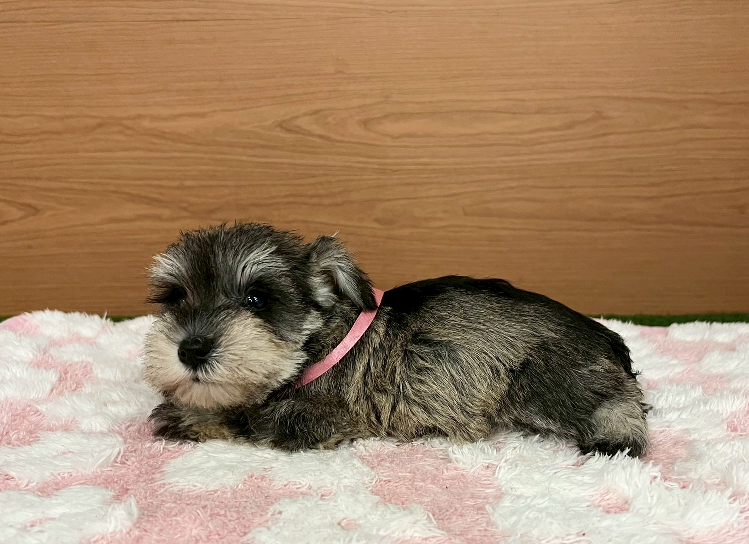 赤ちゃん写真3-2