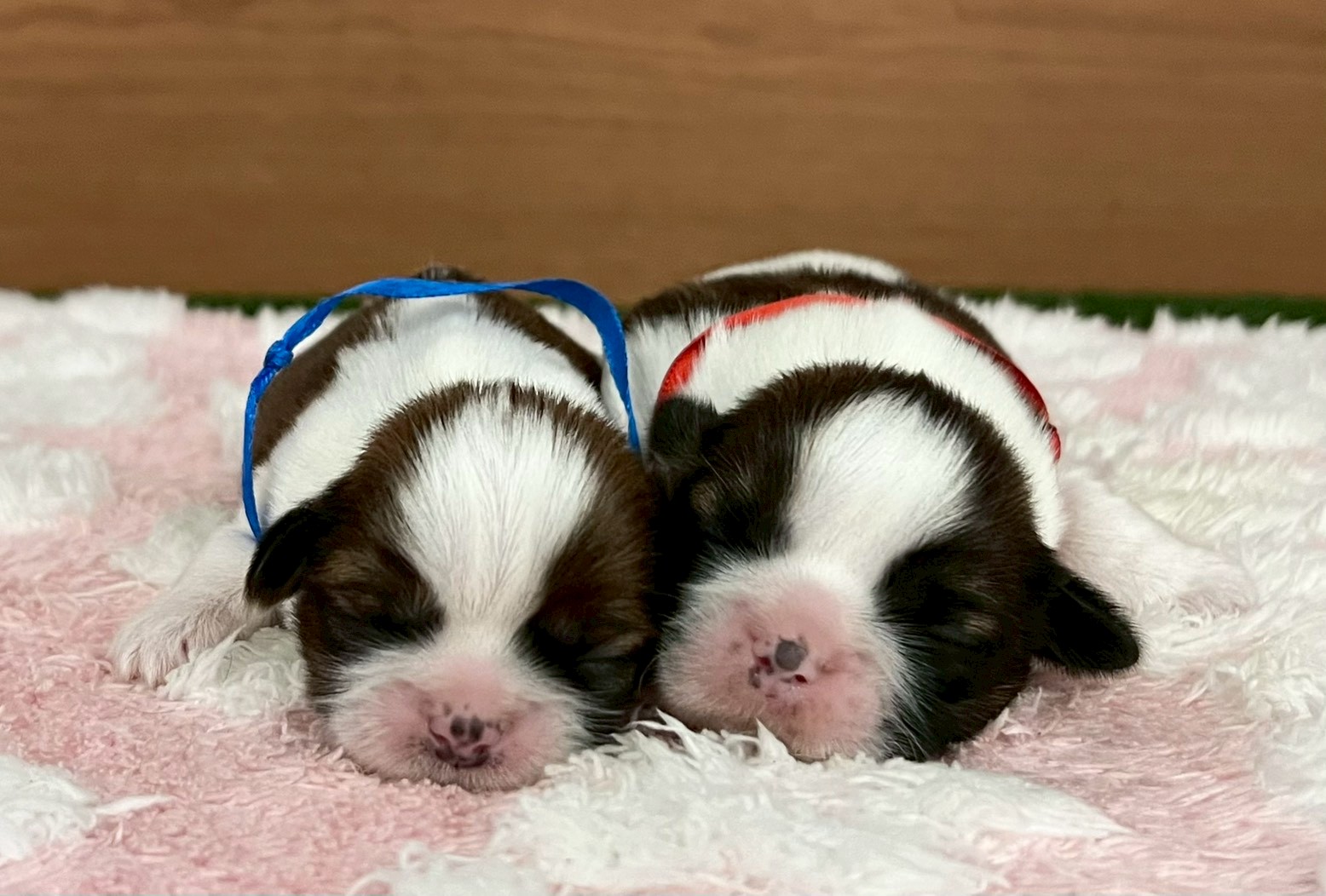 赤ちゃん写真1-3