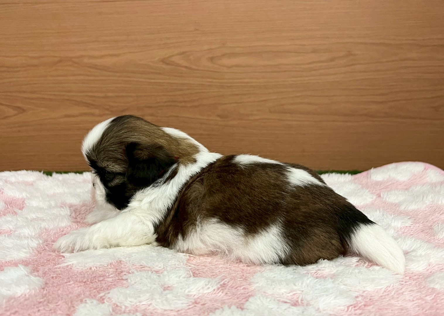 赤ちゃん写真2-2