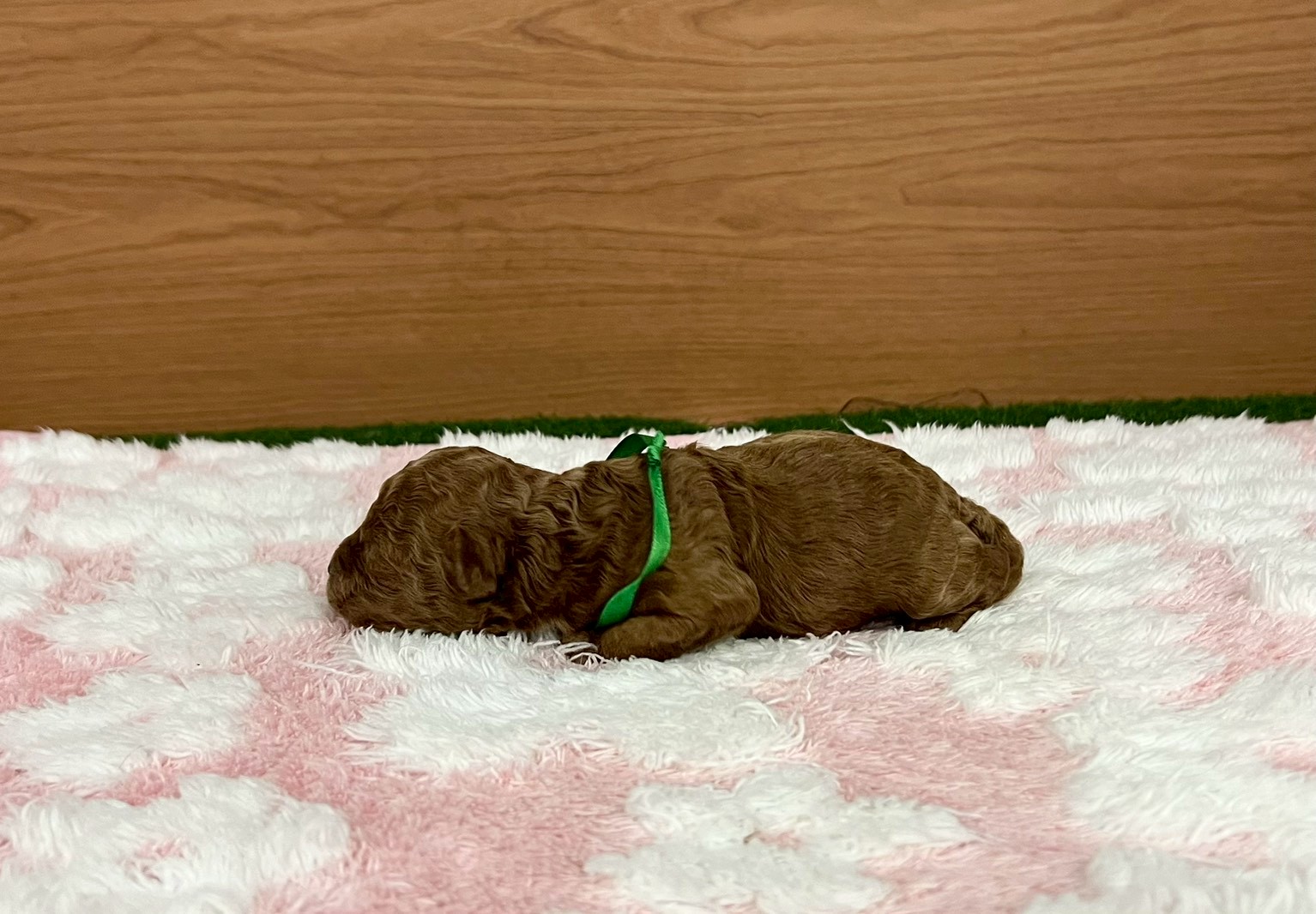 赤ちゃん写真1-2