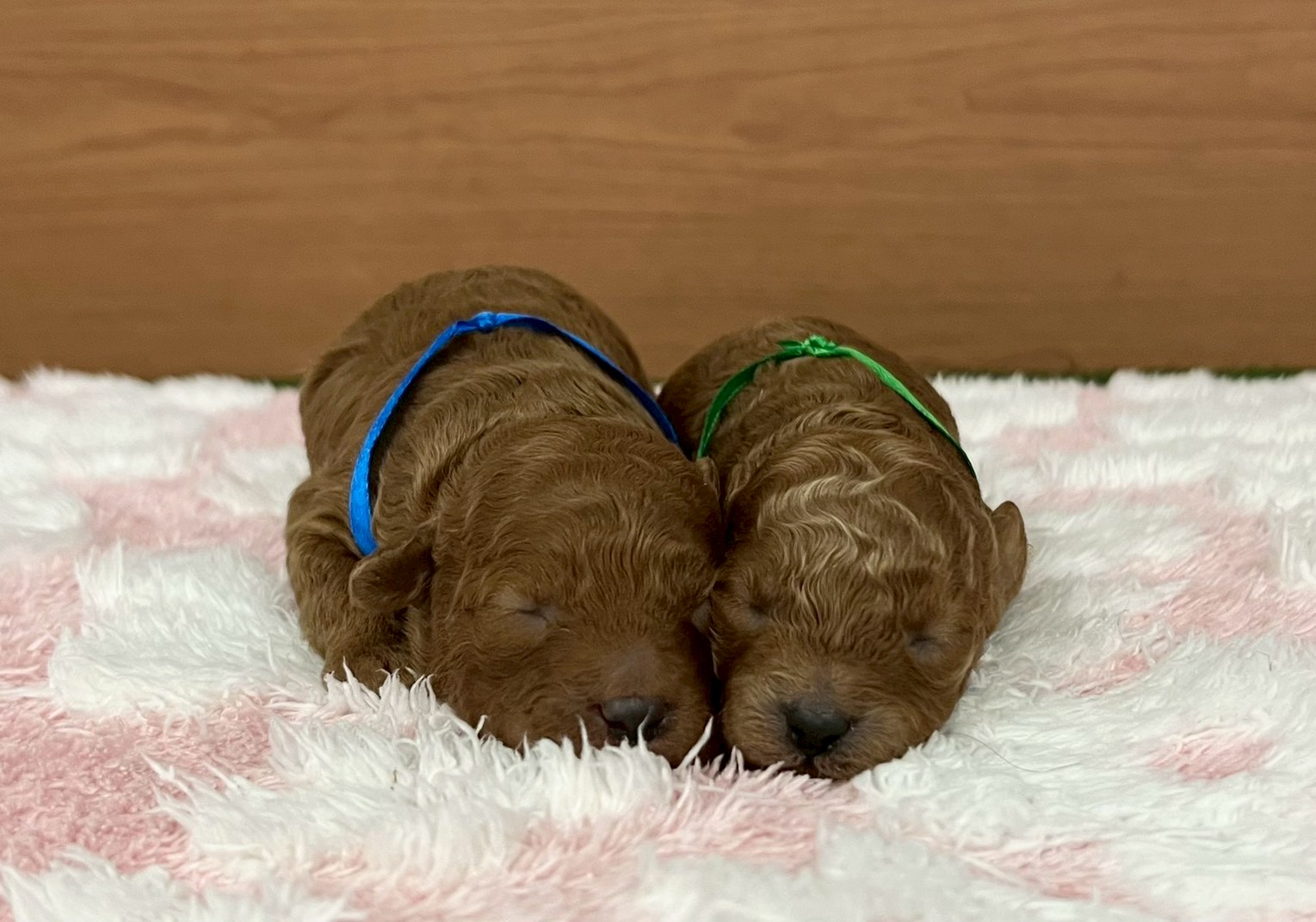 赤ちゃん写真1-3