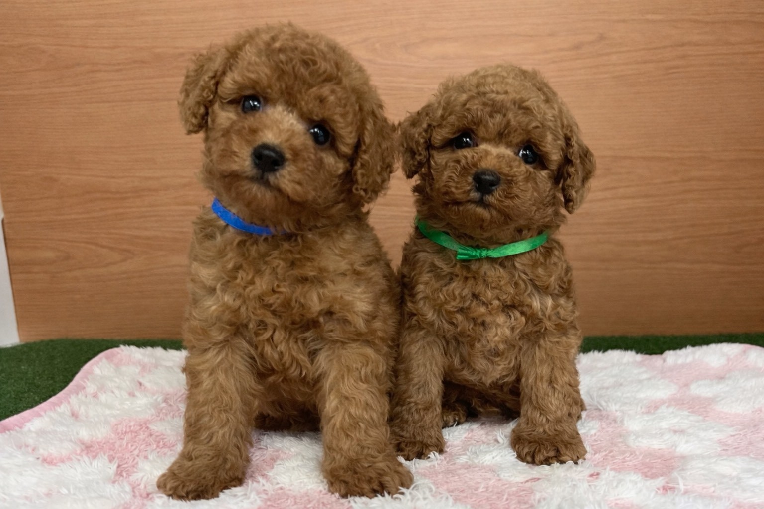 赤ちゃん写真3-3