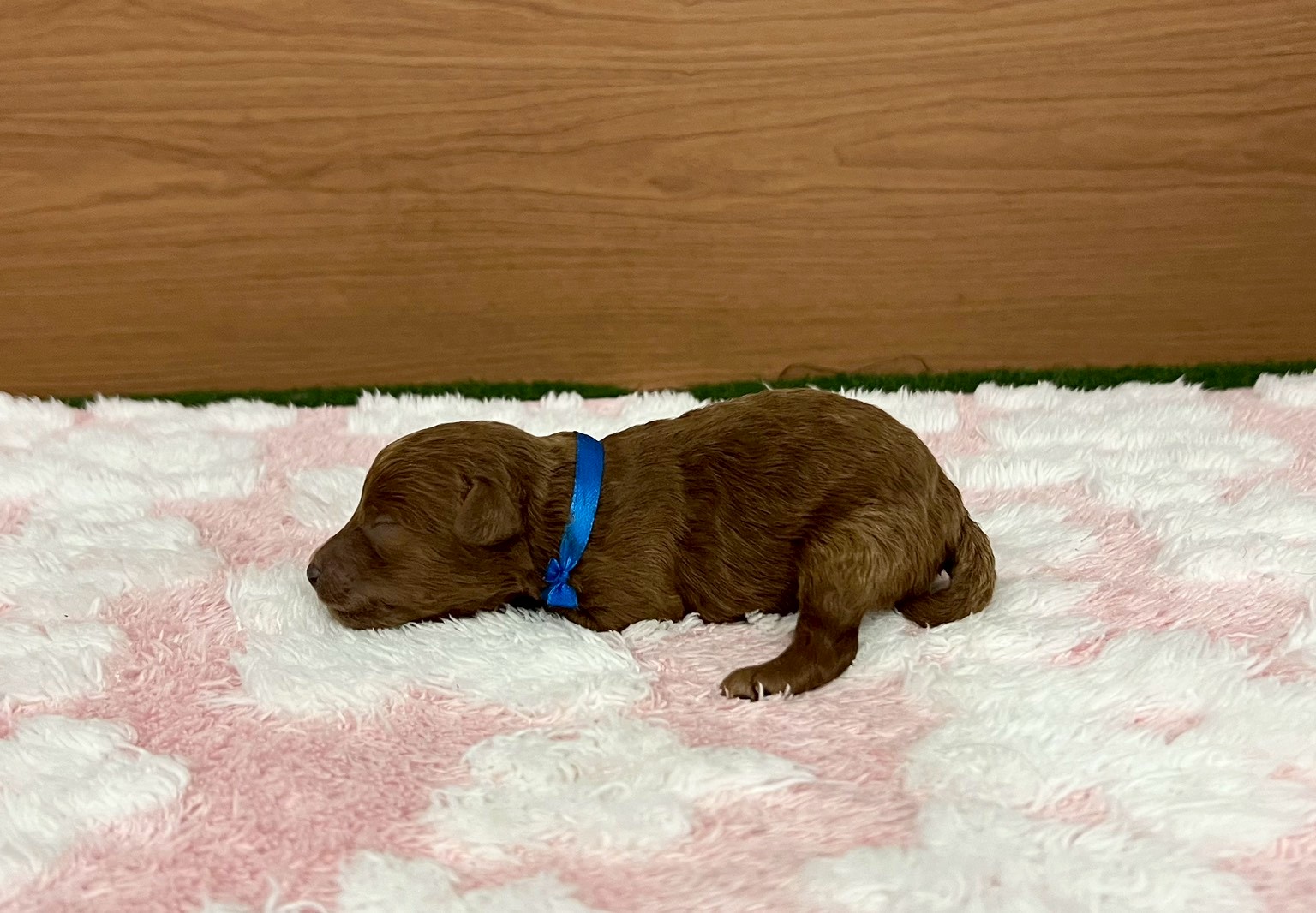 赤ちゃん写真1-2