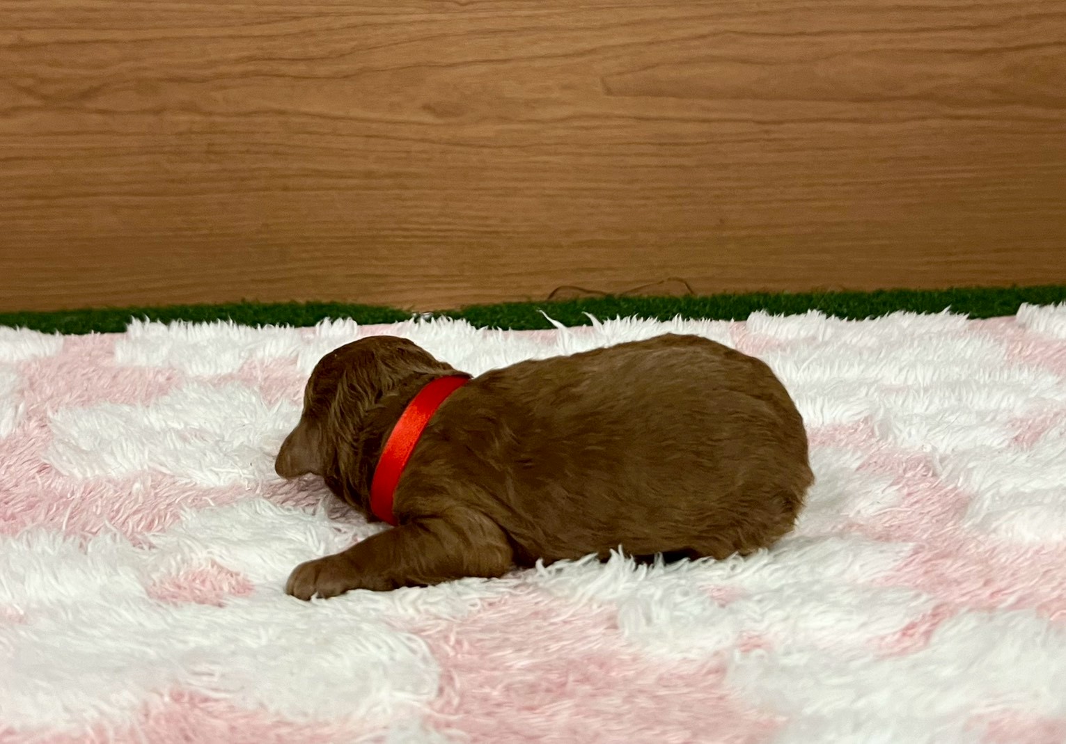 赤ちゃん写真1-2