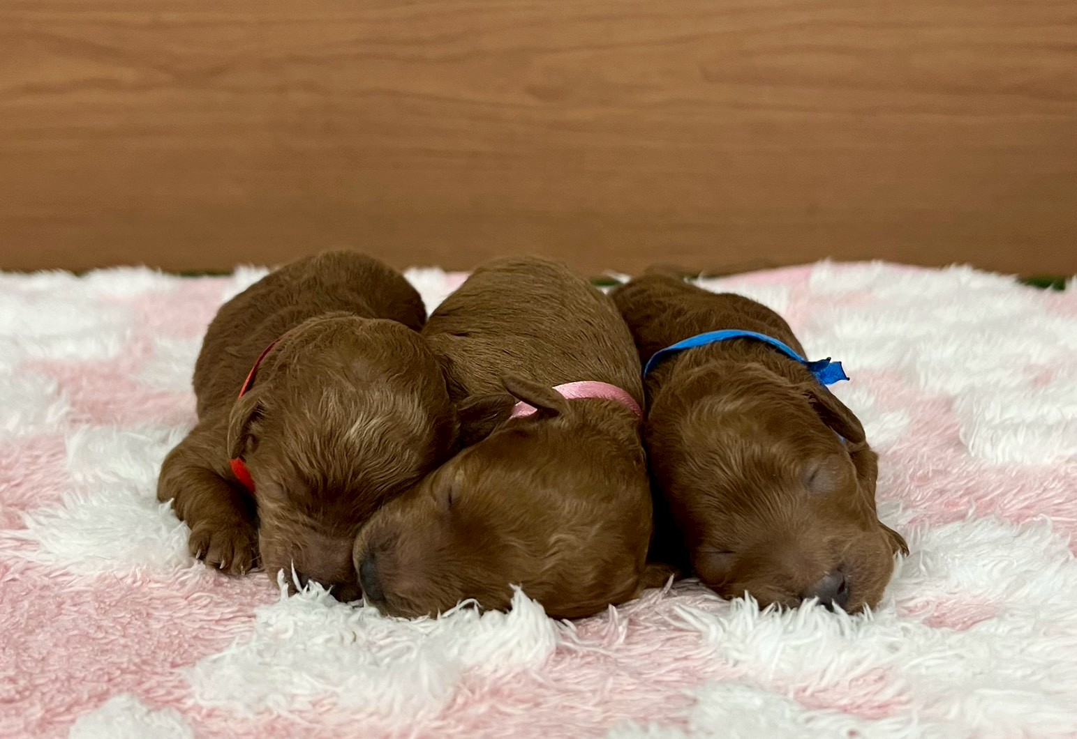 赤ちゃん写真1-3