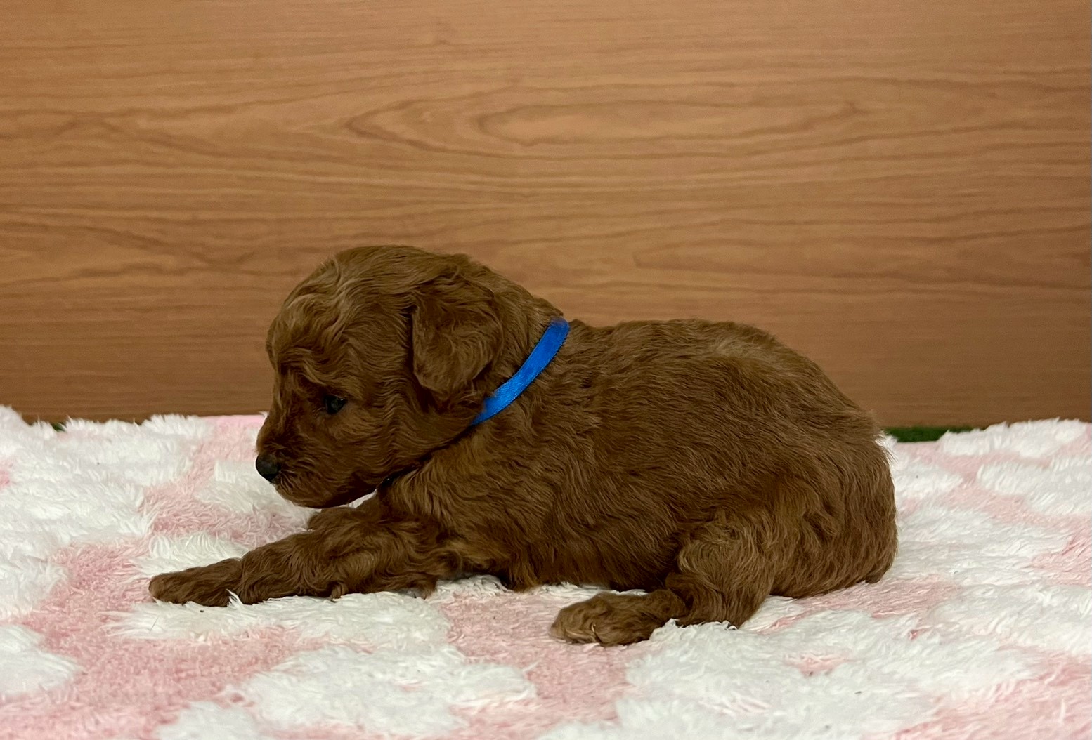 赤ちゃん写真2-2