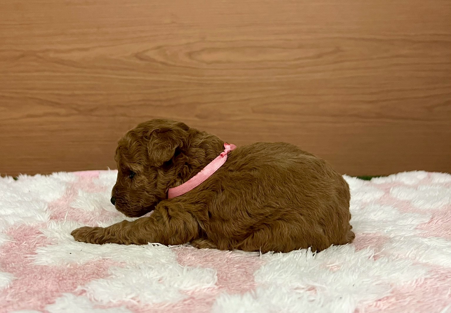 赤ちゃん写真2-2