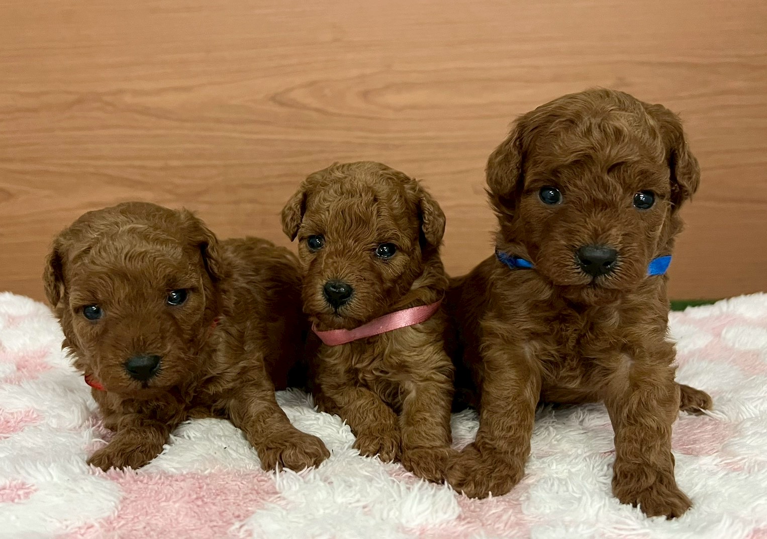 赤ちゃん写真2-3