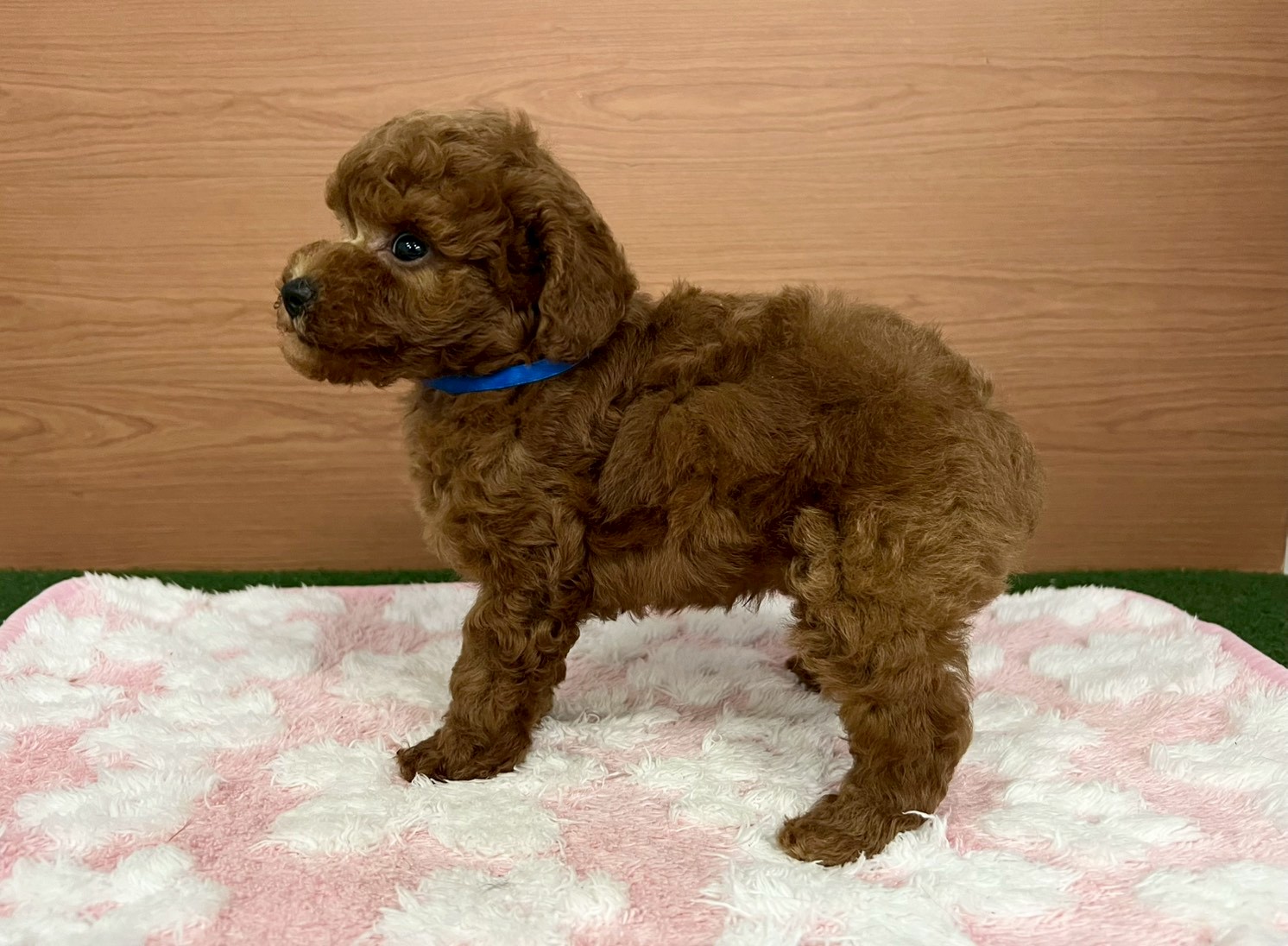 赤ちゃん写真3-2