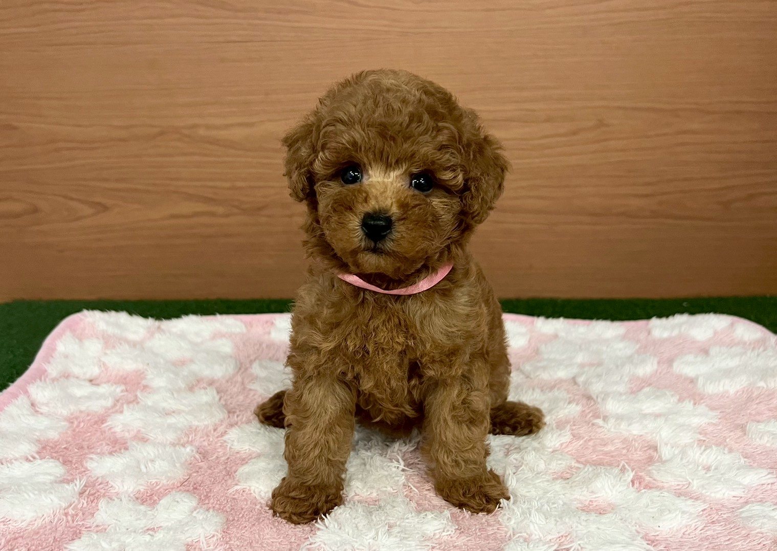 赤ちゃん写真3-1