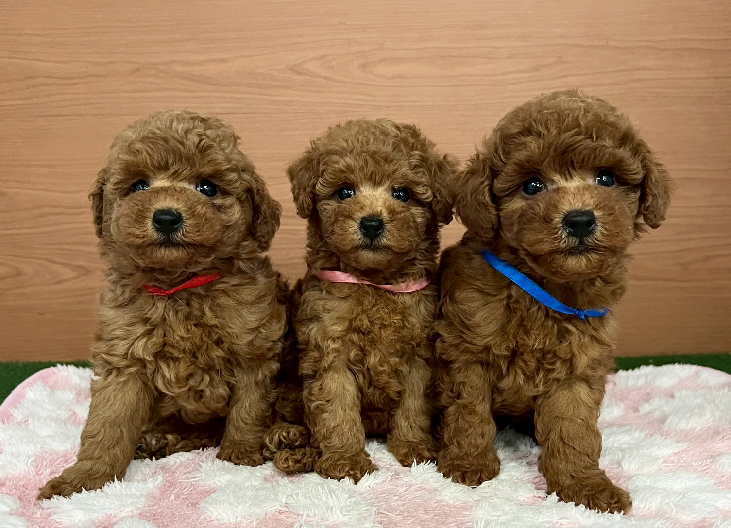 赤ちゃん写真3-3