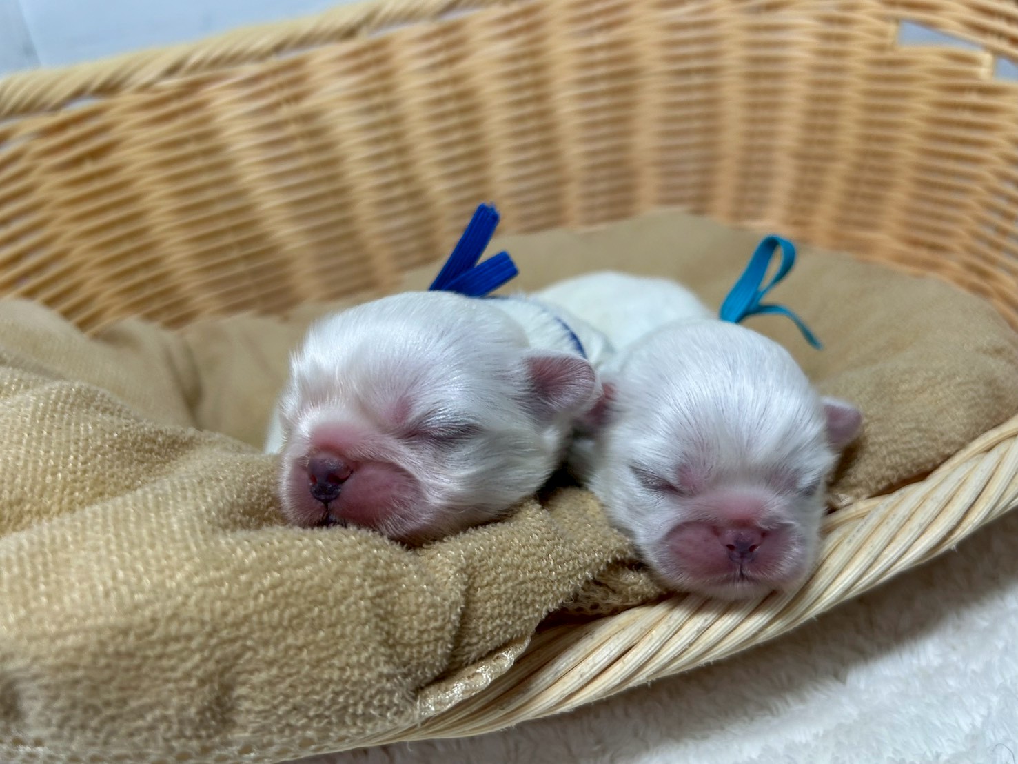 赤ちゃん写真1-3