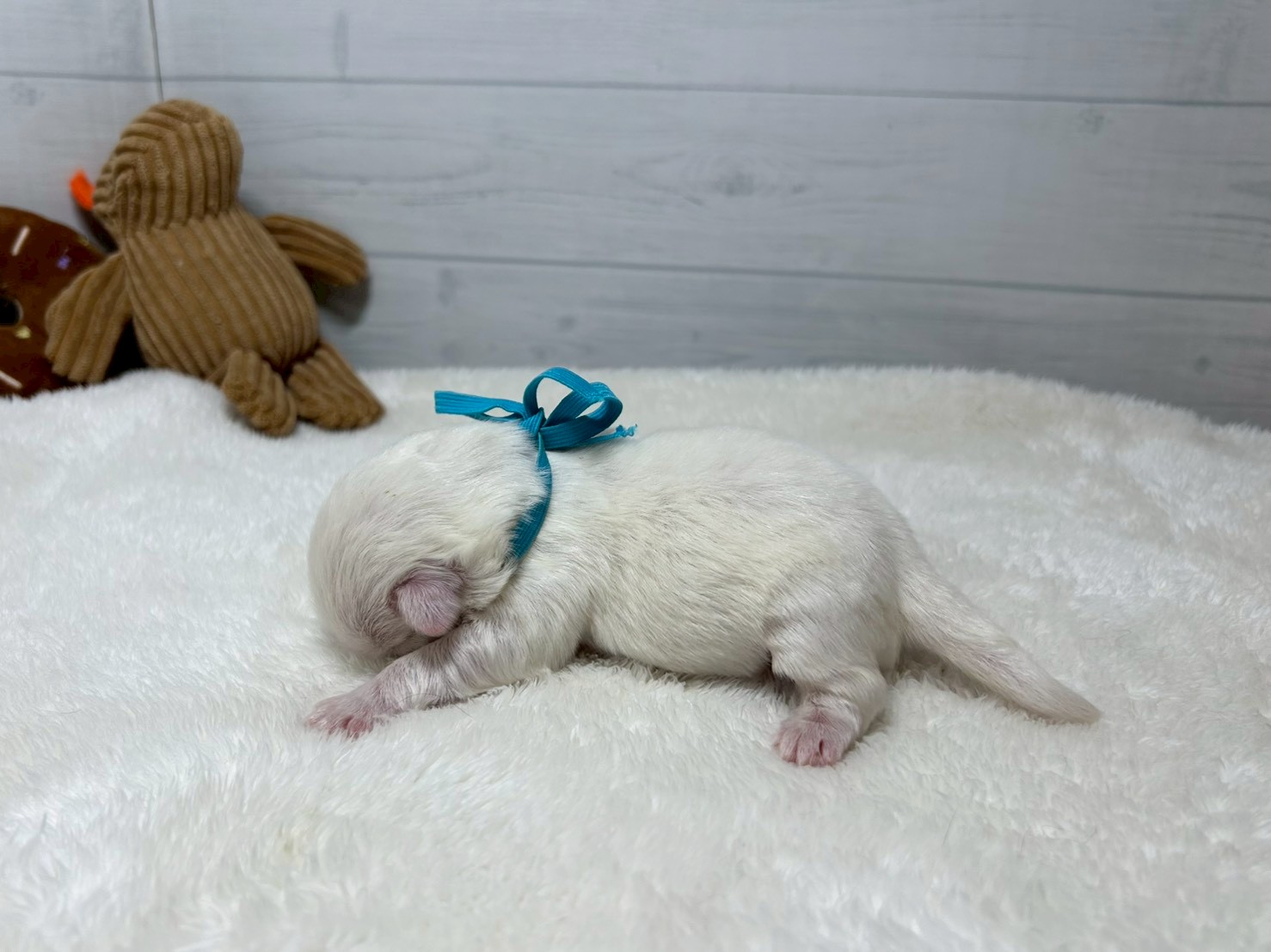 赤ちゃん写真1-2