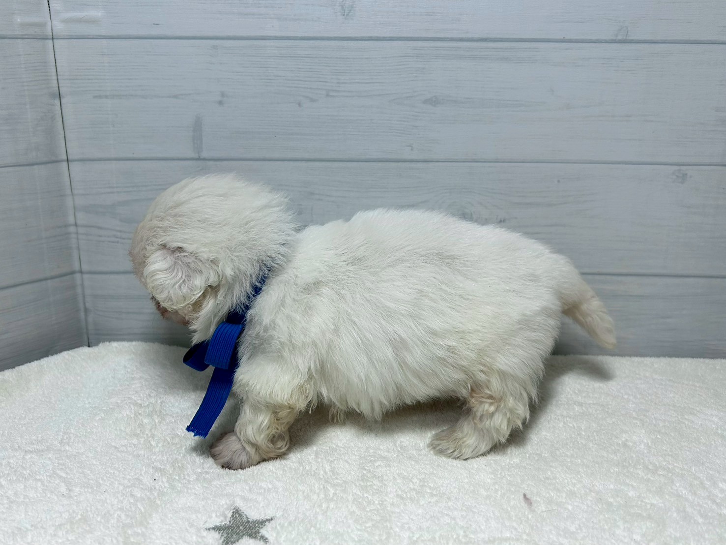 赤ちゃん写真2-2