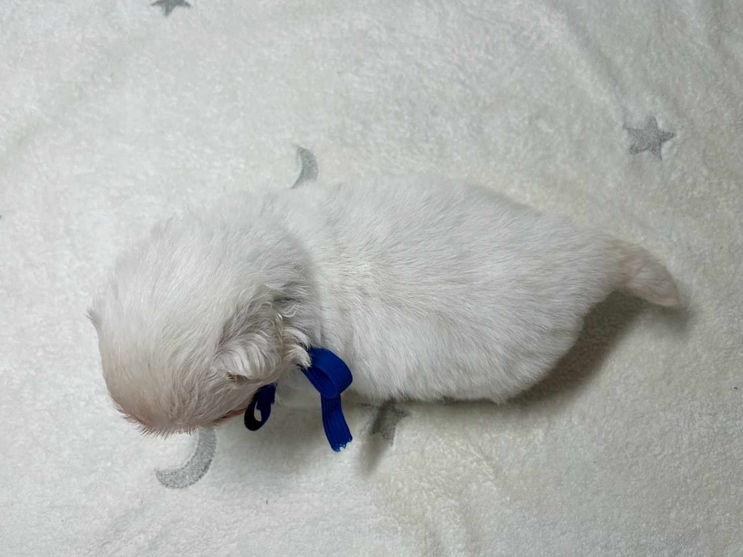赤ちゃん写真2-3