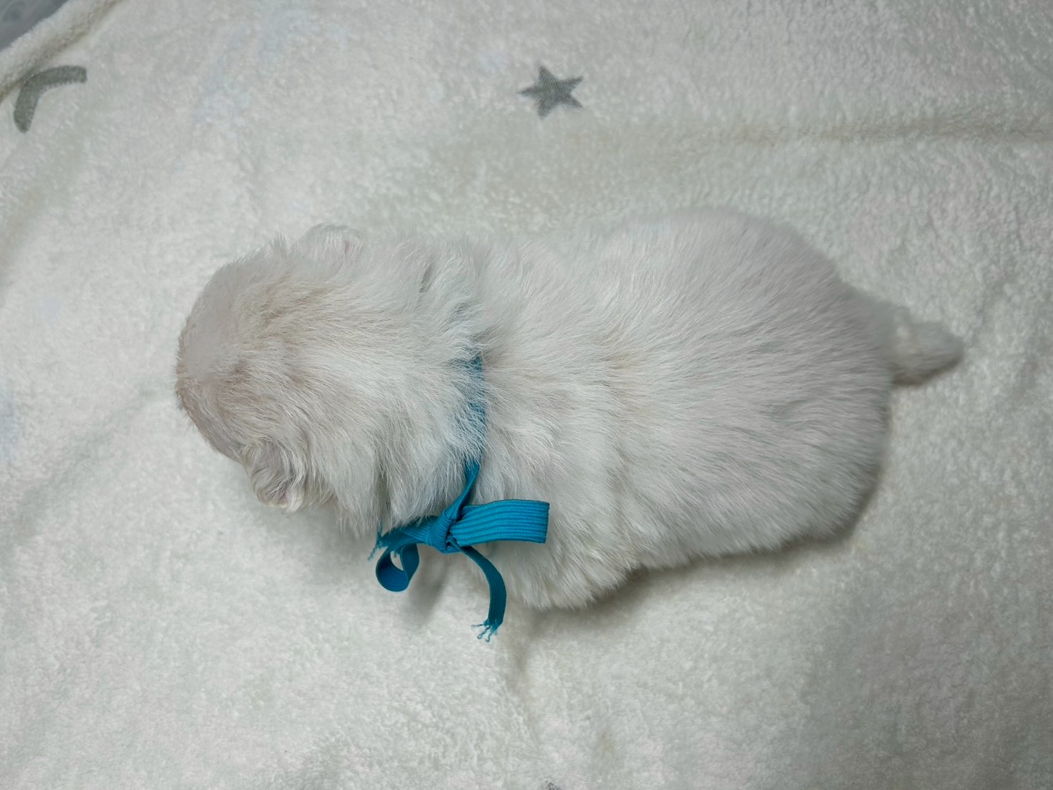 赤ちゃん写真2-3