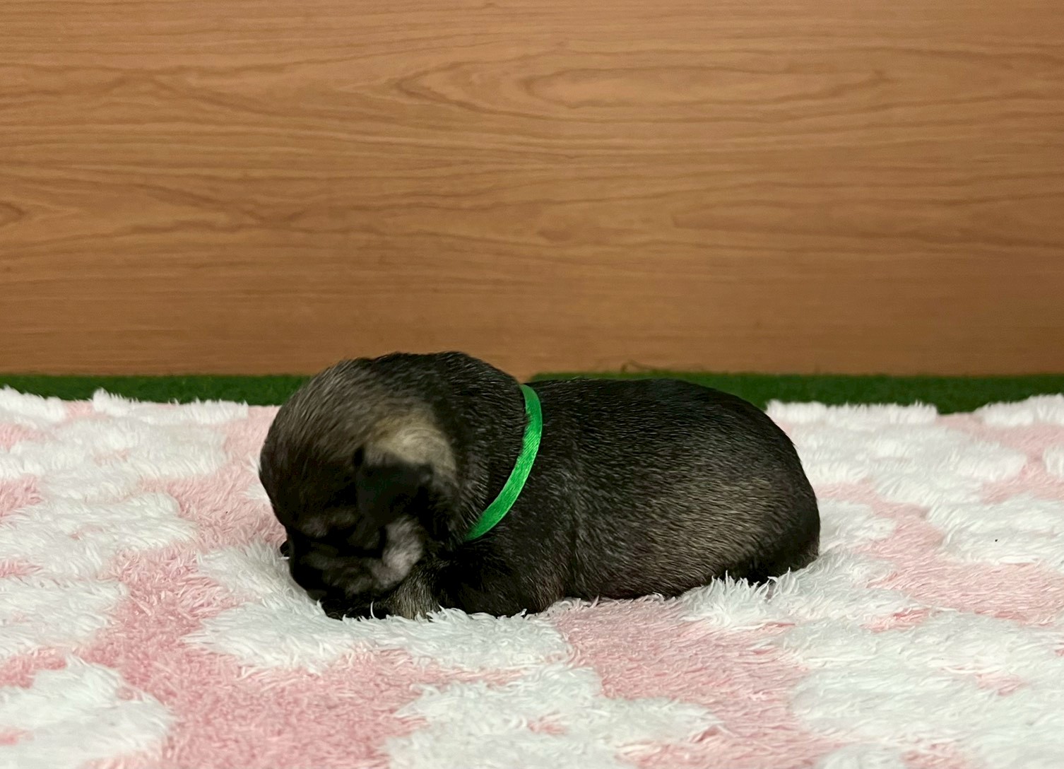 赤ちゃん写真1-2
