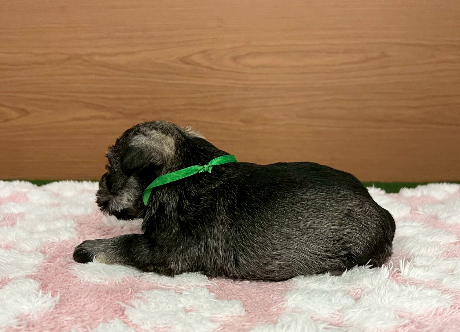 赤ちゃん写真2-2
