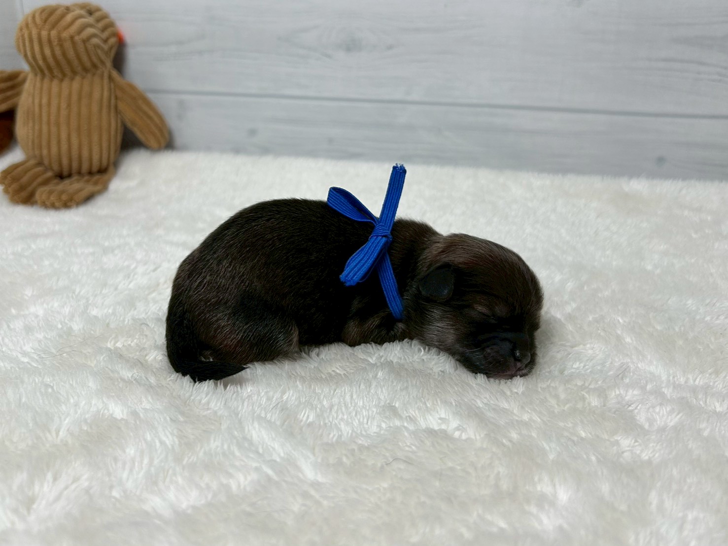 赤ちゃん写真1-2