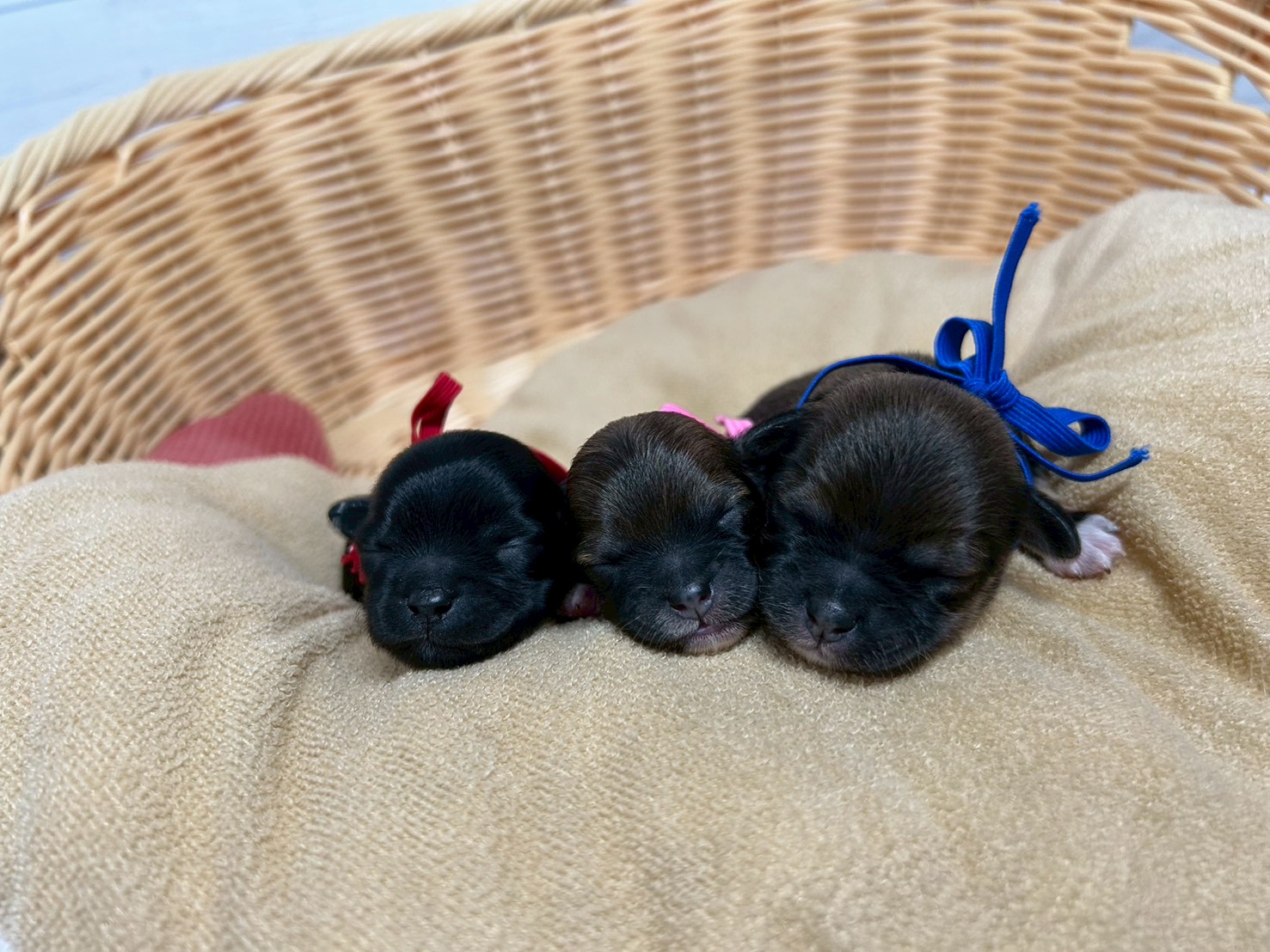 赤ちゃん写真1-3