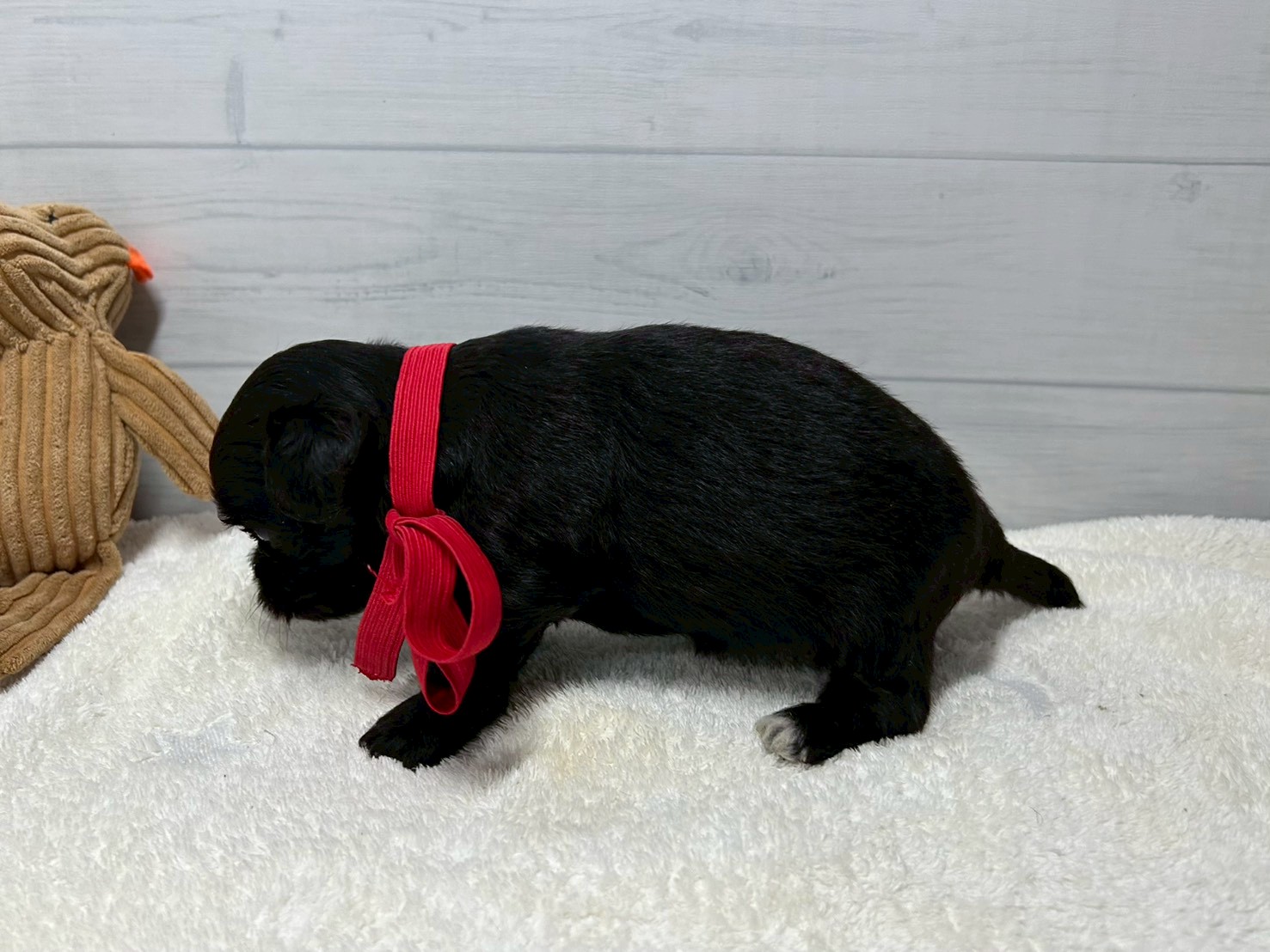 赤ちゃん写真2-2