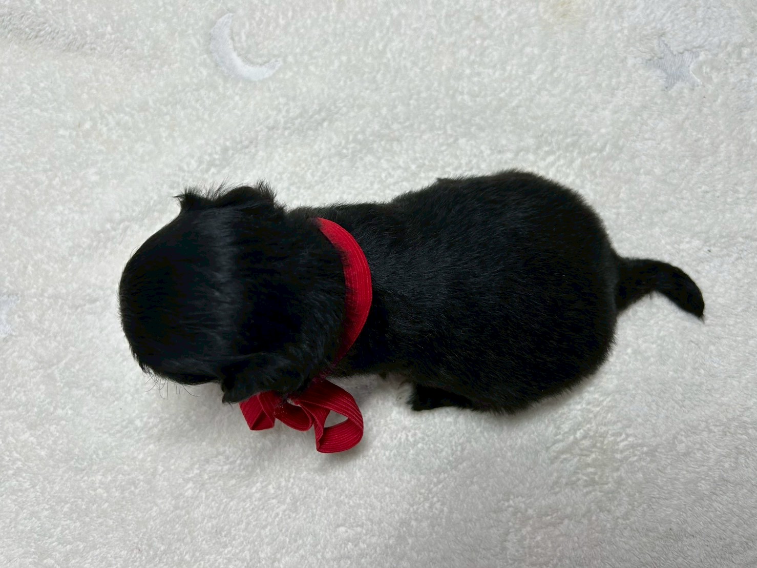 赤ちゃん写真2-3