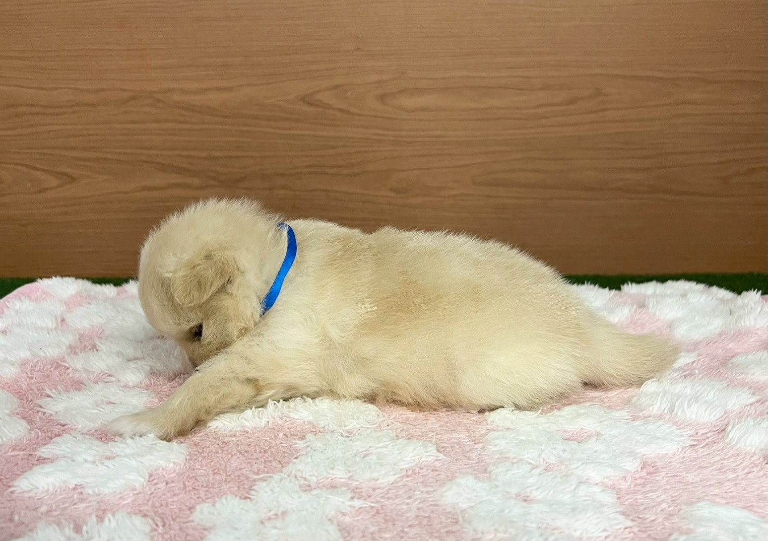 赤ちゃん写真2-2