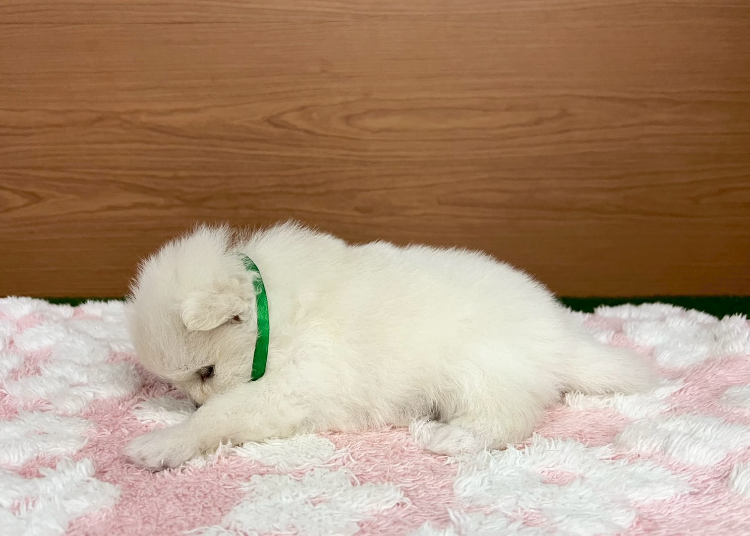 赤ちゃん写真2-2