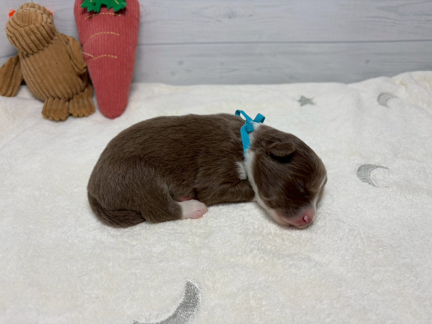 赤ちゃん写真1-2