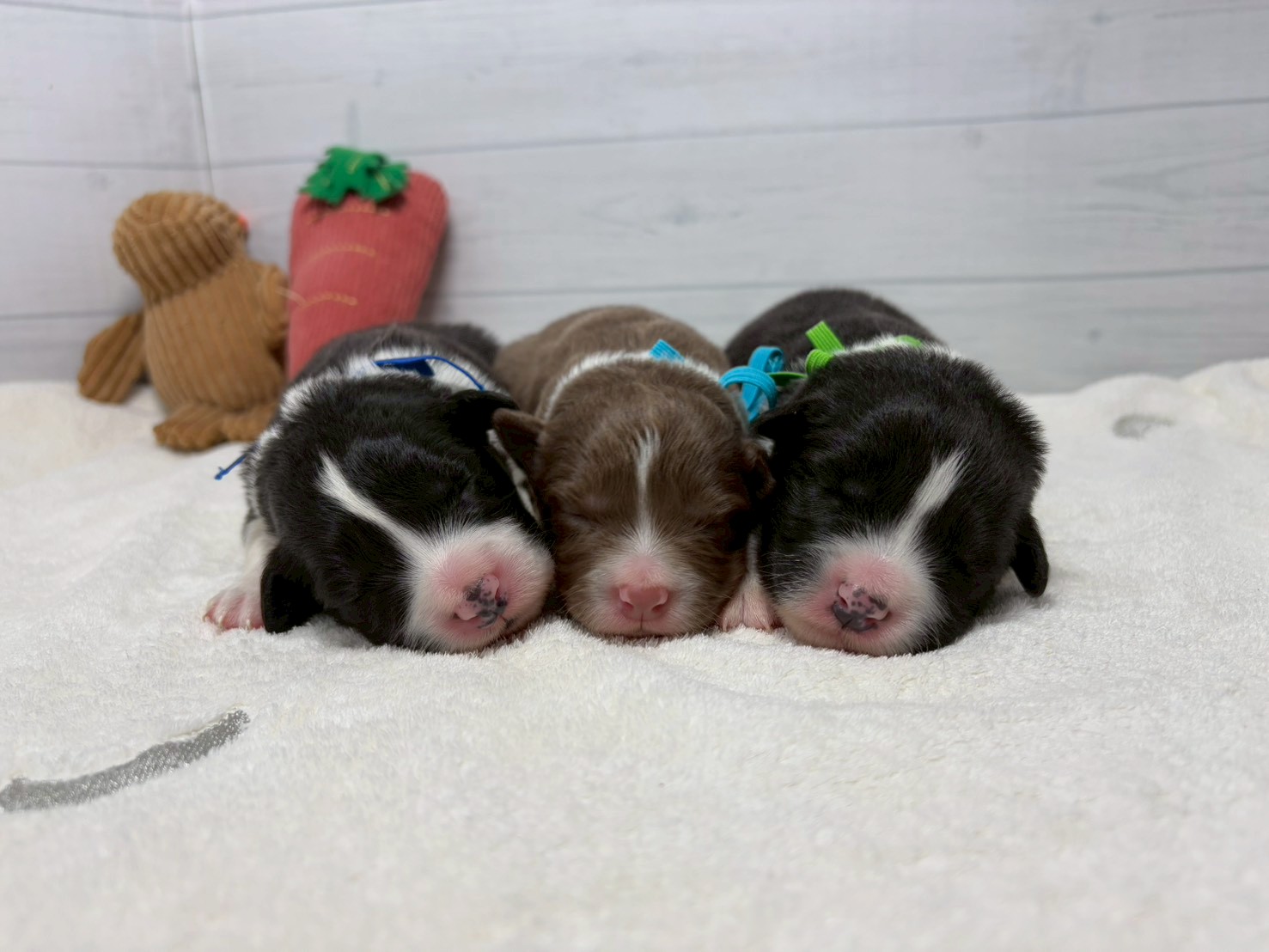 赤ちゃん写真1-3
