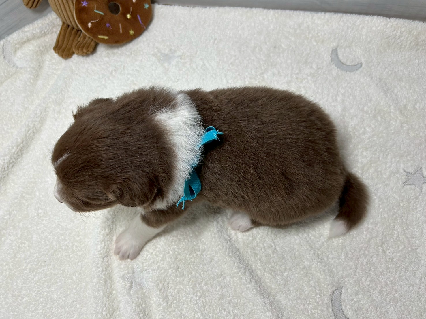 赤ちゃん写真2-3