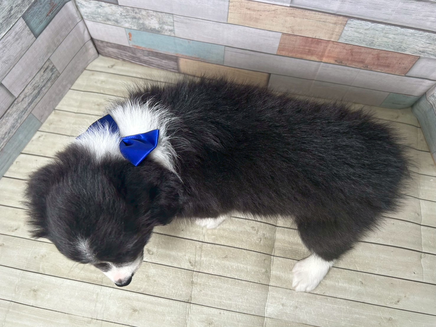 赤ちゃん写真3-3