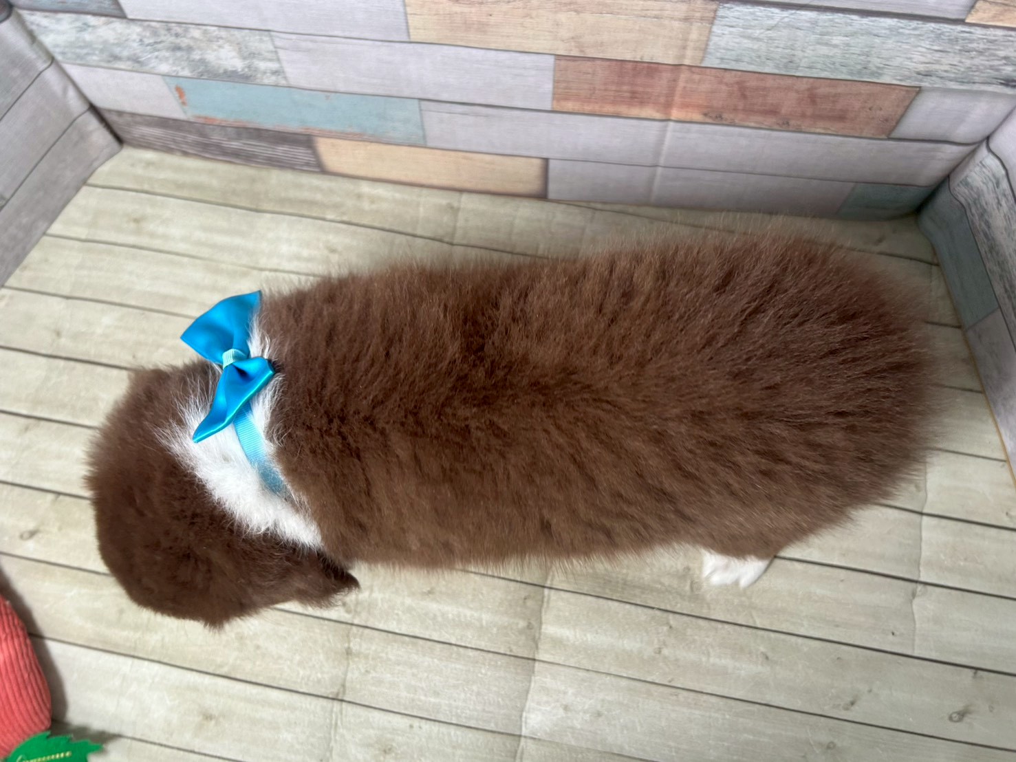 赤ちゃん写真3-3