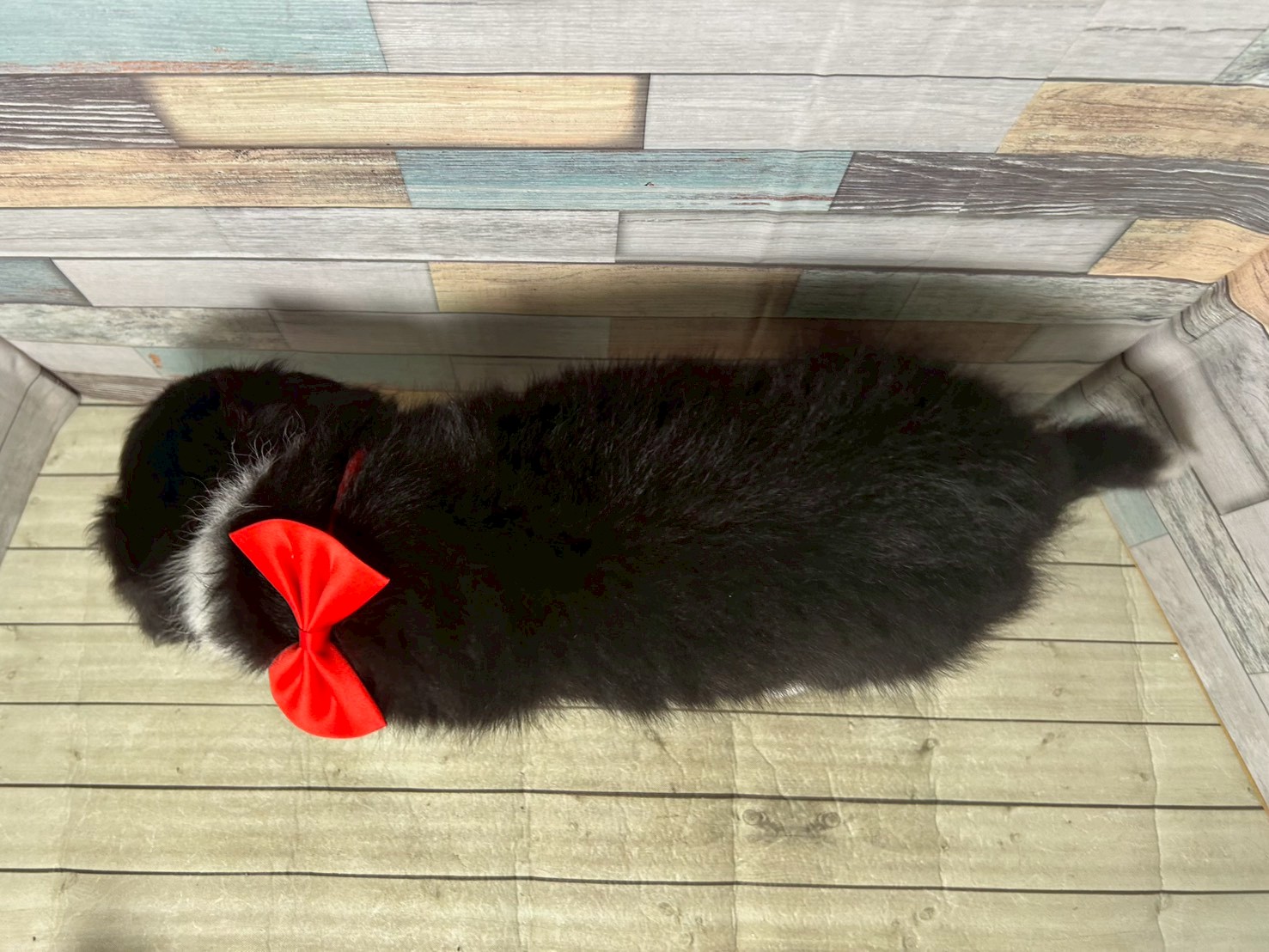 赤ちゃん写真3-3
