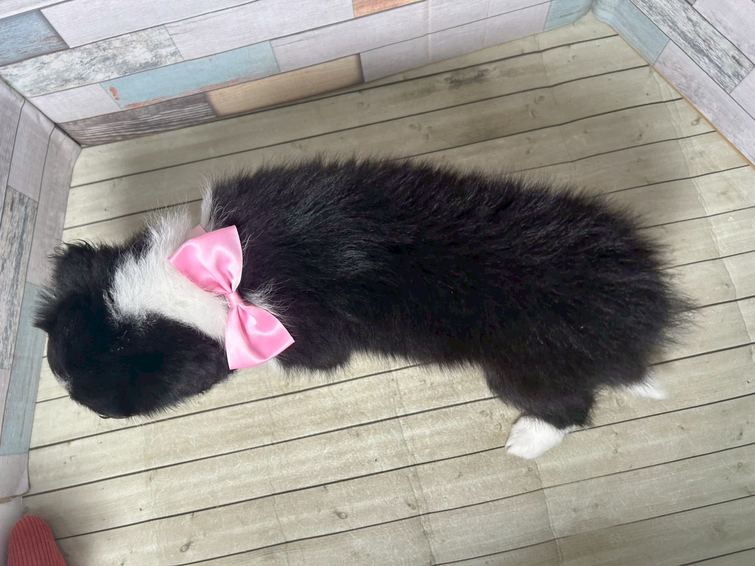 赤ちゃん写真3-3