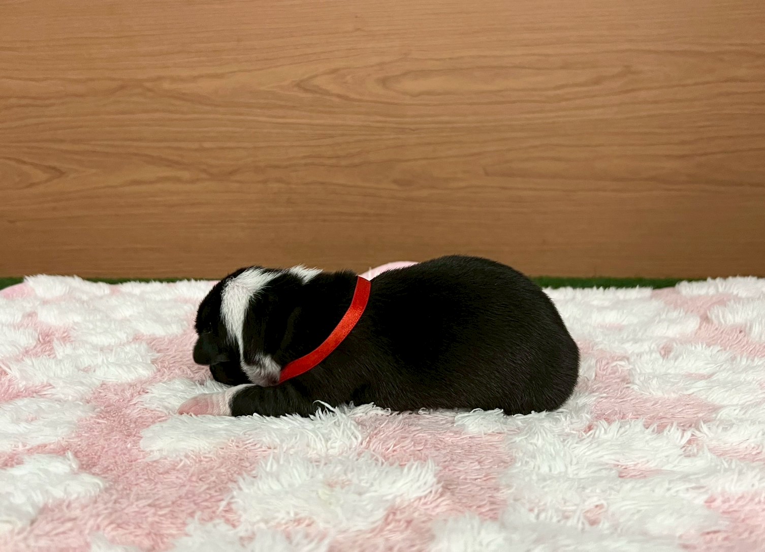 赤ちゃん写真1-2