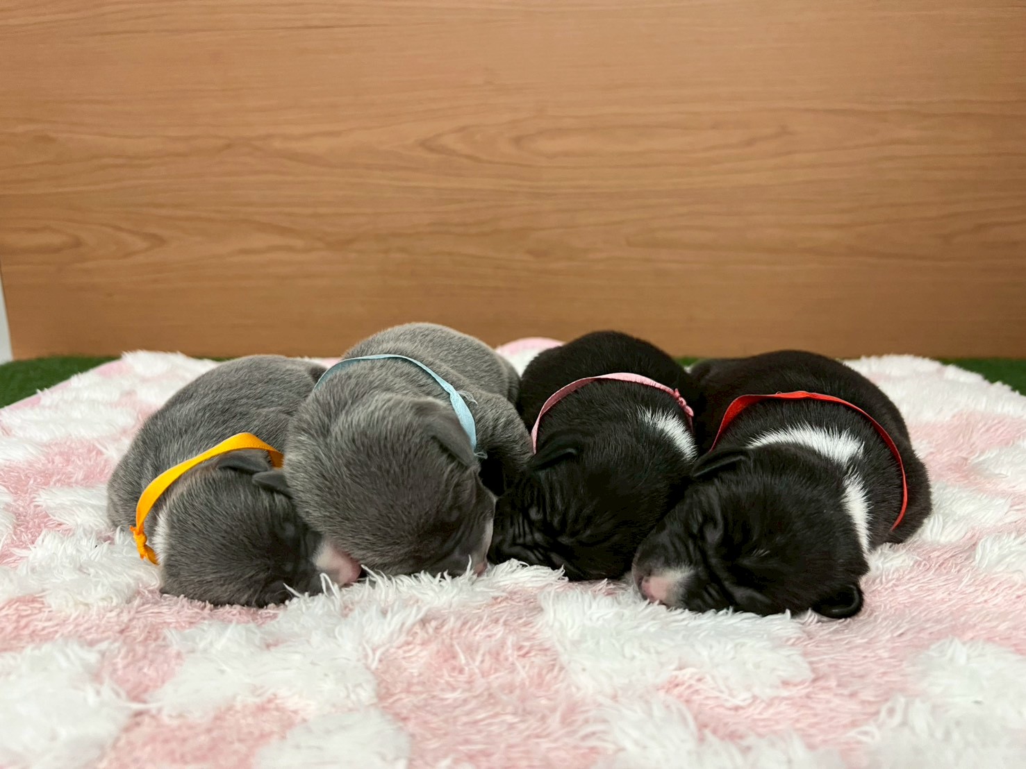 赤ちゃん写真1-3