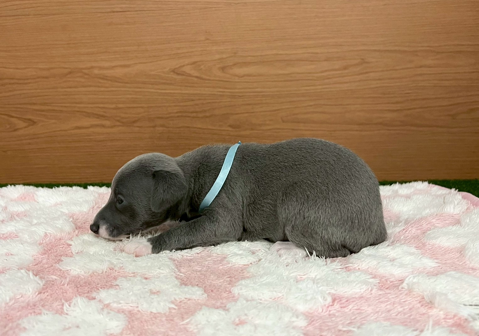 赤ちゃん写真2-2
