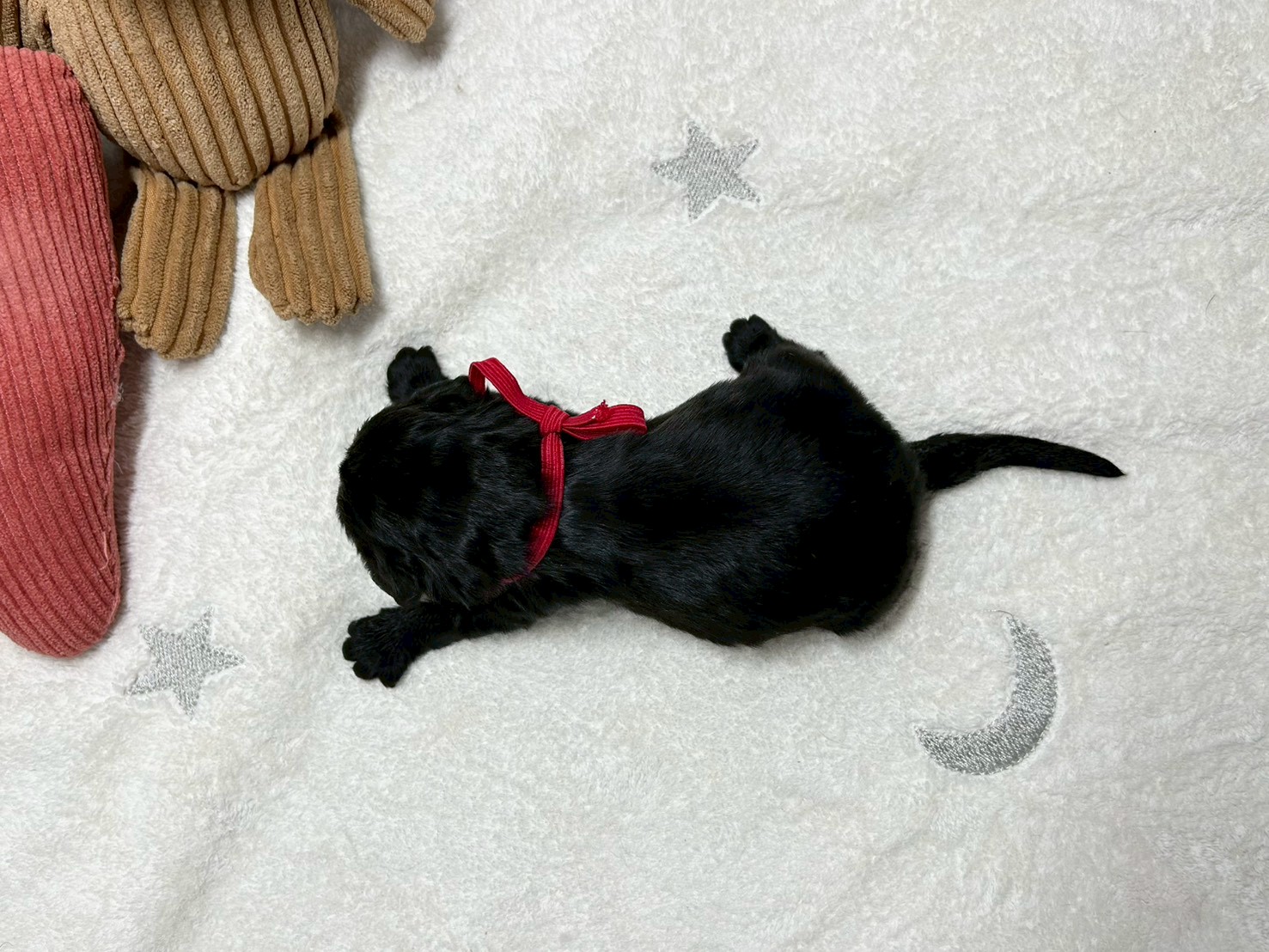 赤ちゃん写真1-3