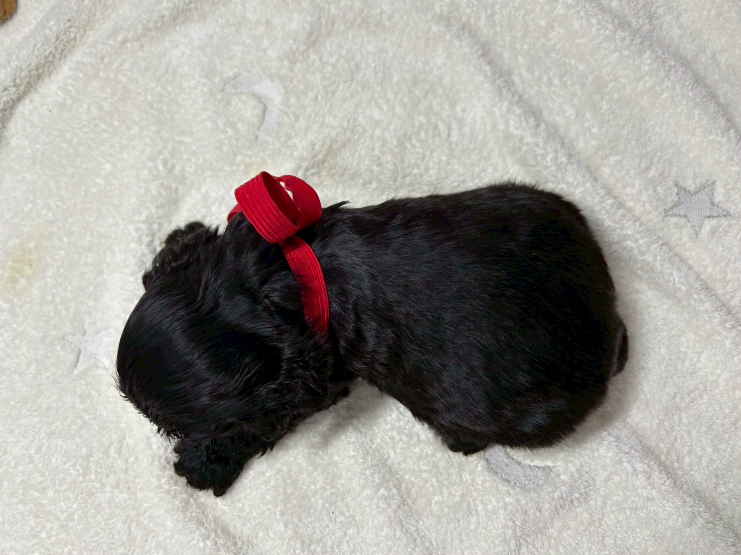赤ちゃん写真2-3