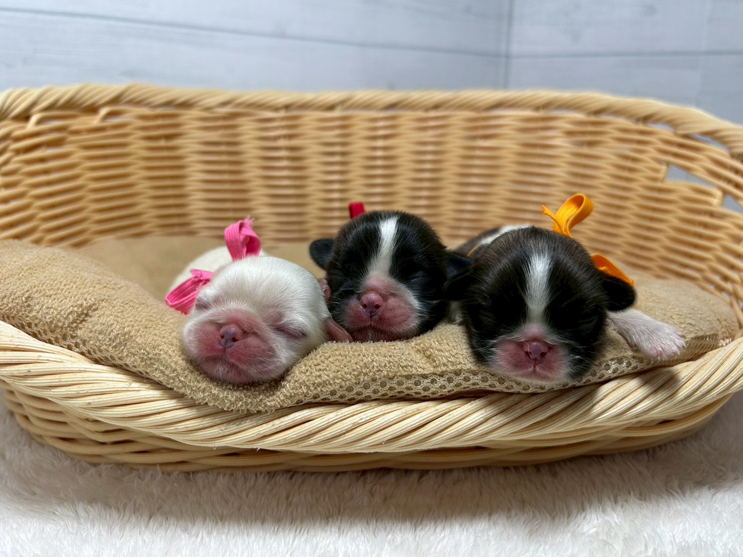 赤ちゃん写真1-3
