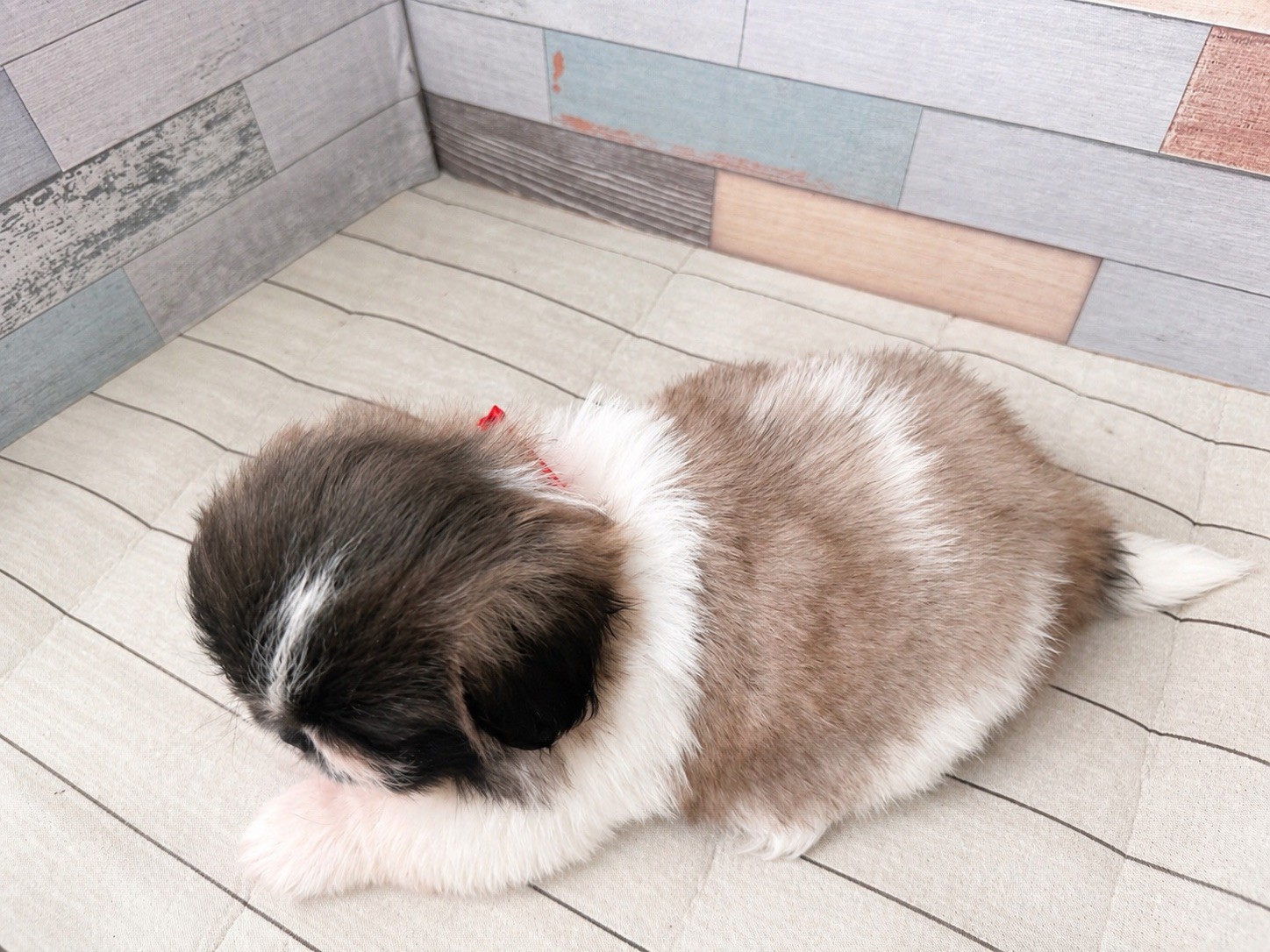 赤ちゃん写真3-3