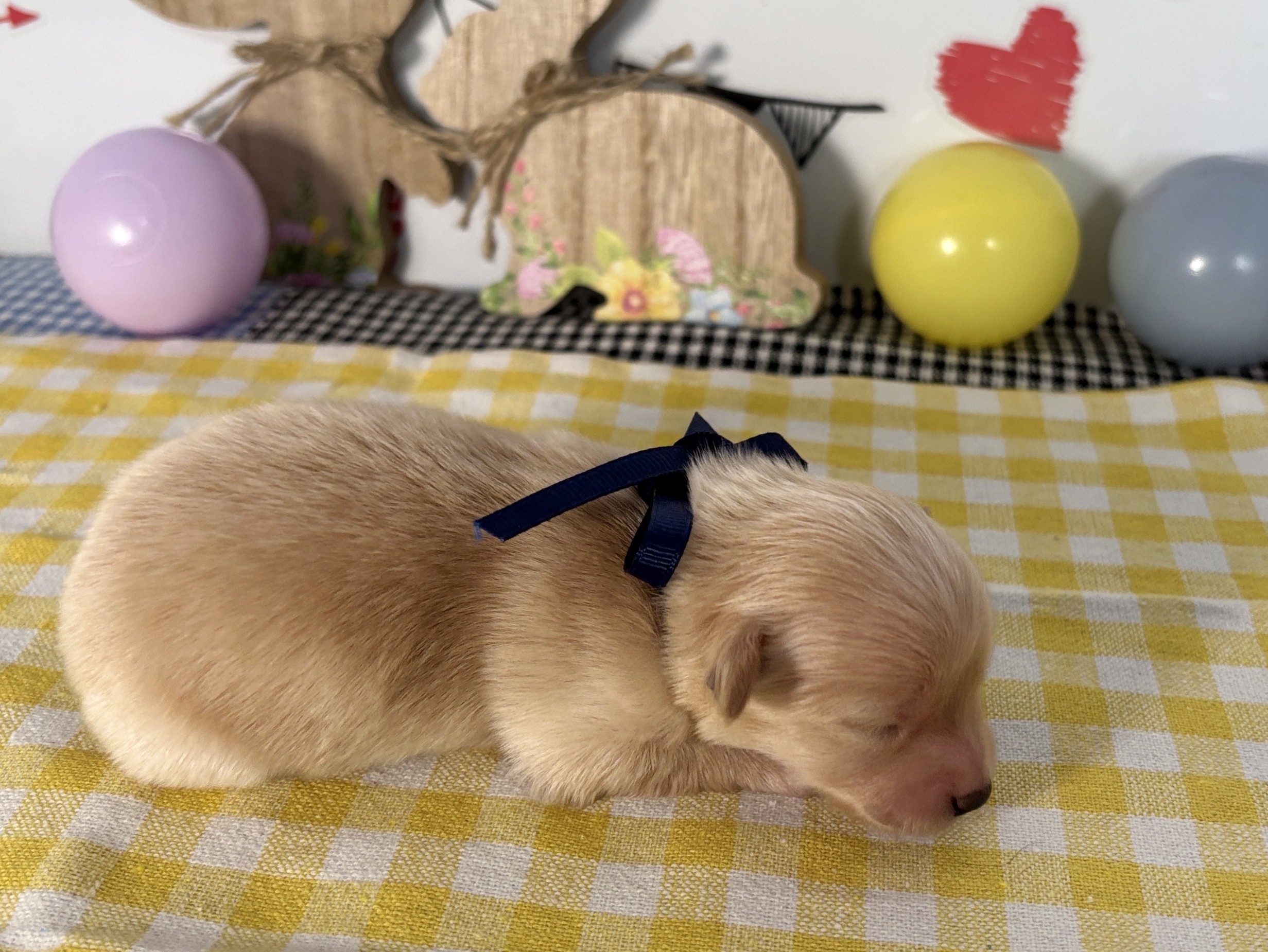 赤ちゃん写真1-2