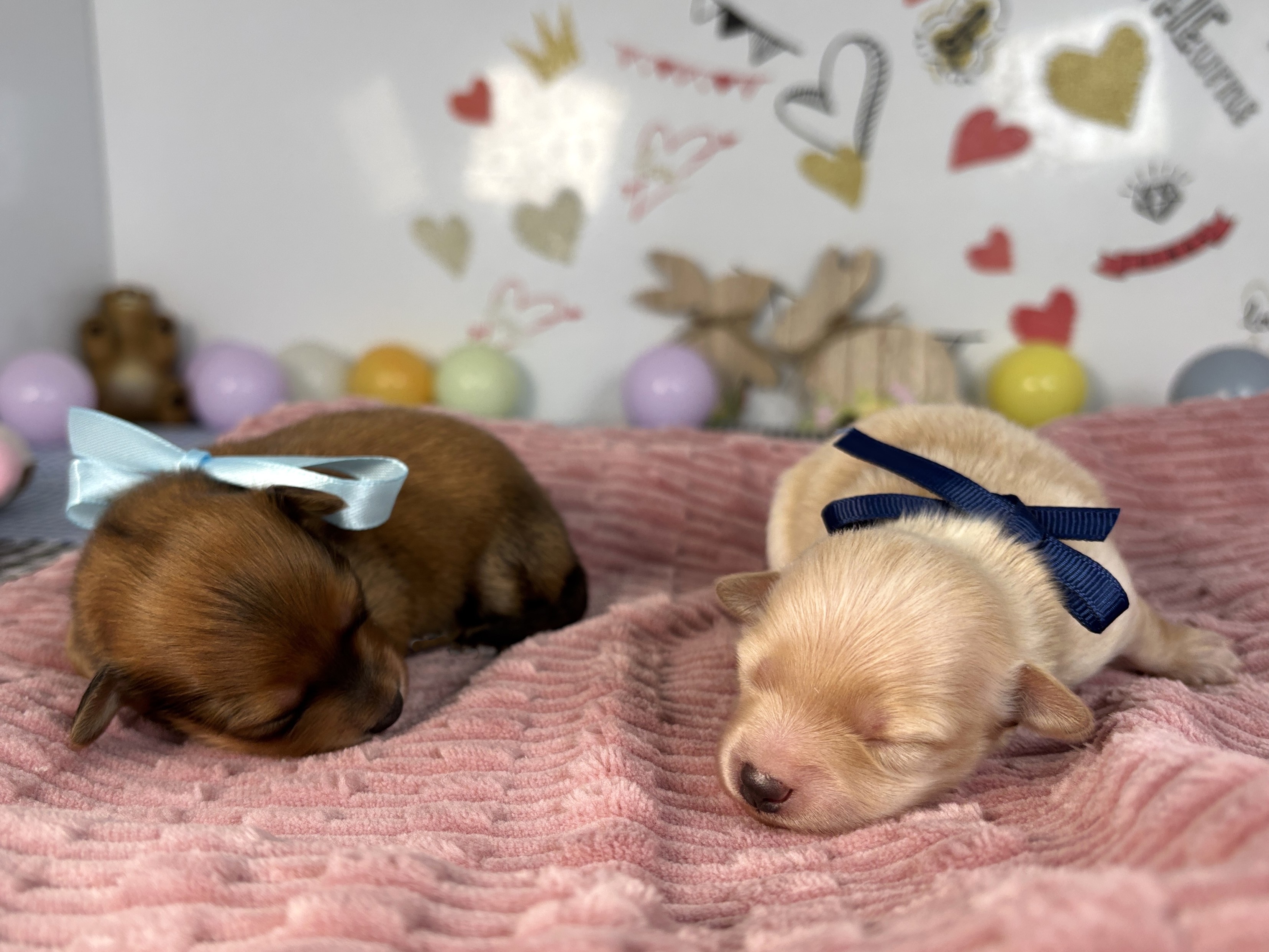 赤ちゃん写真1-3